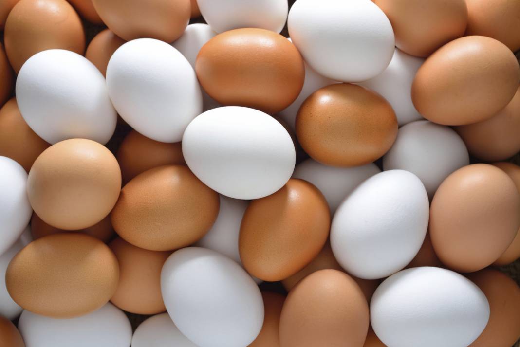 Beyaz mı kahverengi mi? Hangi yumurta daha sağlıklı? 7